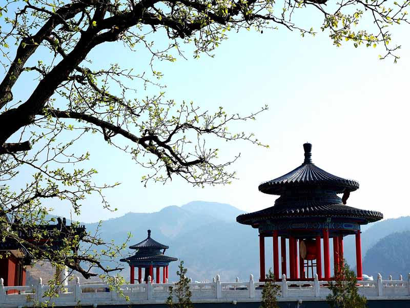 清东陵万佛园：文化深厚，环境宜人的陵园（